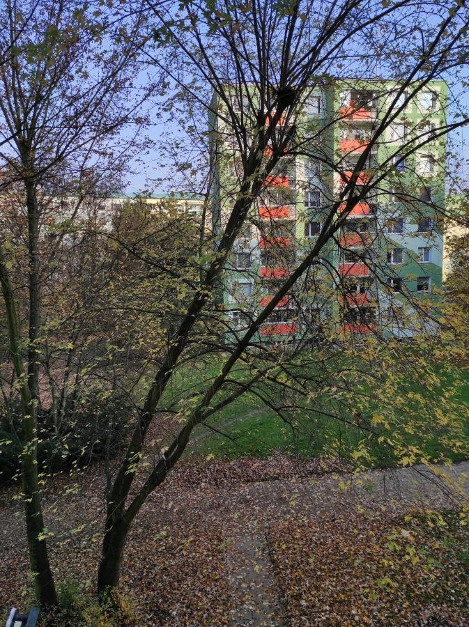 Stiborka Appartement Olomouc Buitenkant foto